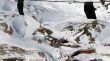 20090117-a-wengen-0381.jpg