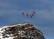 20090117-b-wengen-7980.jpg