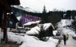 20090118-b-wengen-0419.jpg