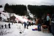 20090118-b-wengen-0449.jpg