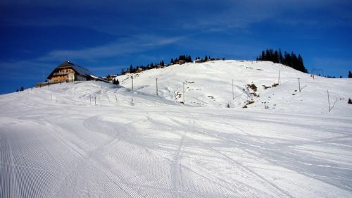 14. Januar 2009

