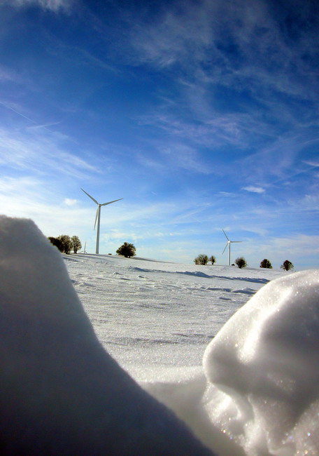 16. Januar 2009
