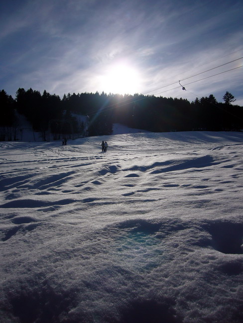 16. Januar 2009
