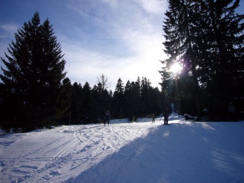 16. Januar 2009
