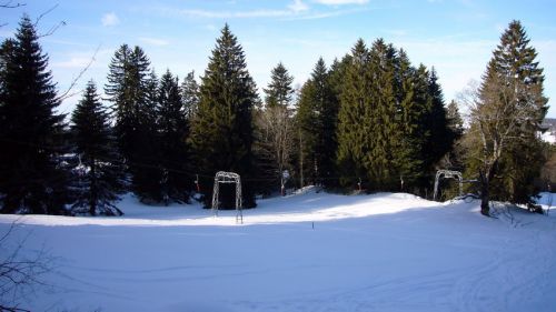 16. Januar 2009
