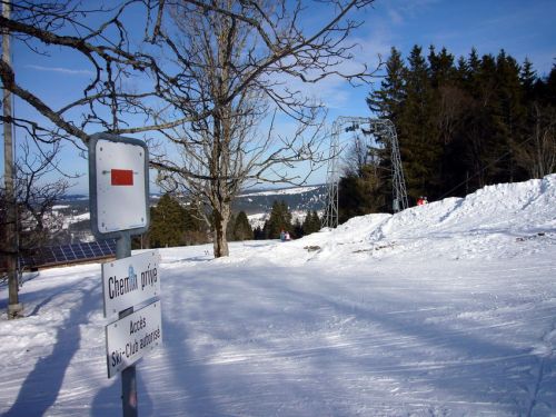 16. Januar 2009
