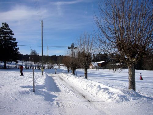 16. Januar 2009
