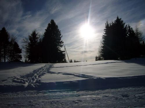 16. Januar 2009
