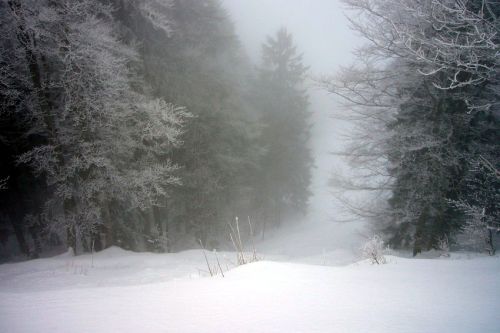 Wäre mit etwa 40cm mehr Schnee ein cooles Steilstück - quasi "geradewegs die Jurafluh zdurabb"
