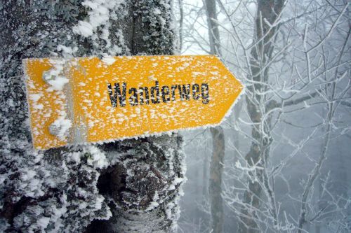 Seit Tagen herrscht hier oben Nebel - auch wenns zeitweise heller wird, es fehlen rund 100-300m bis zur Obergrenze des Nebelmeers
