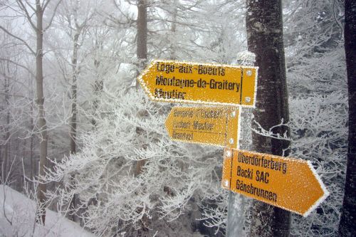 Wander-Wegweiser auf dem Oberdörferberg

