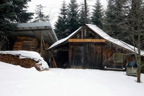 Hütte entlang einer der vielen teils angenehm anspruchsvollen Pisten
