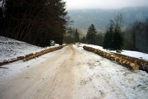 Die Talfahrt im Pinzgauer - auch mit den Skis wäre es schön, wenn man bis zum Lift mit den Fellen hochsteigen würde (in den 1960ern gabs hier offenbar zwei Lifte weiter unten)
