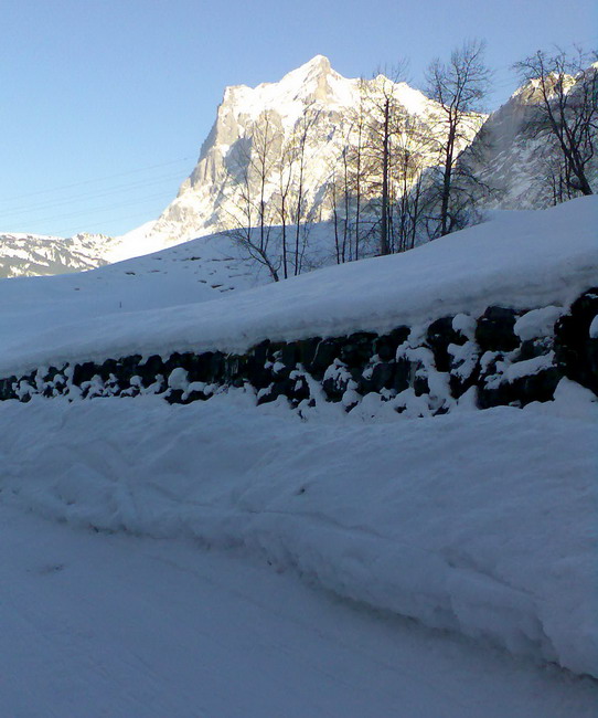 30. Januar 2009
