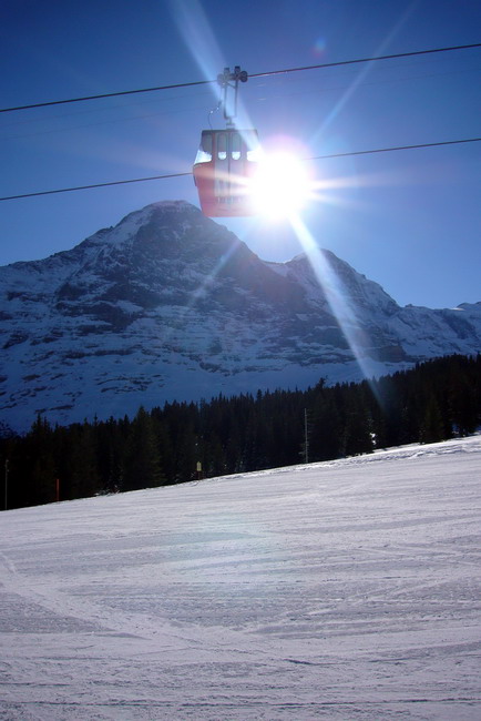31. Januar 2009
