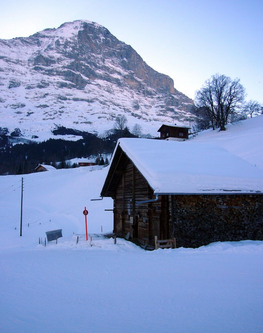 31. Januar 2009
