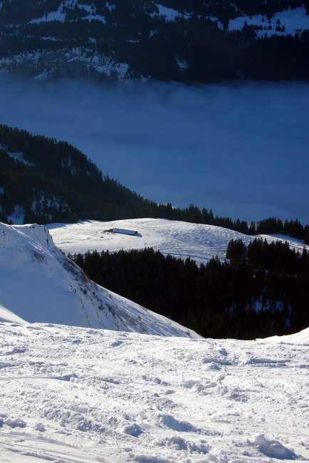 31. Januar 2009

