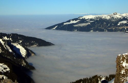 31. Januar 2009
