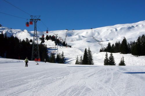 31. Januar 2009
