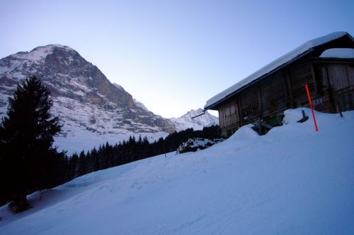 31. Januar 2009
