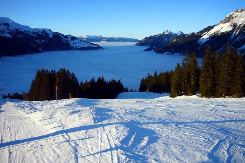31. Januar 2009
