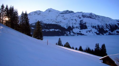31. Januar 2009
