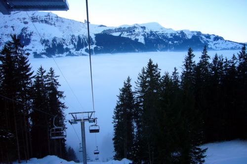 31. Januar 2009
