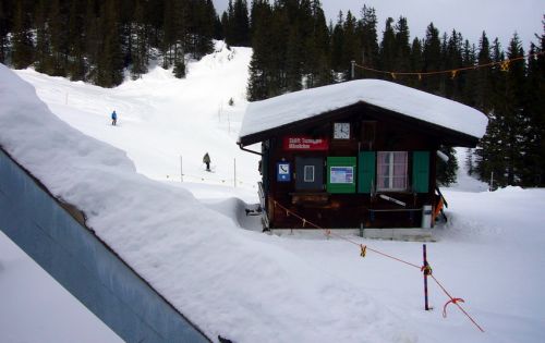 1. Februar 2009
