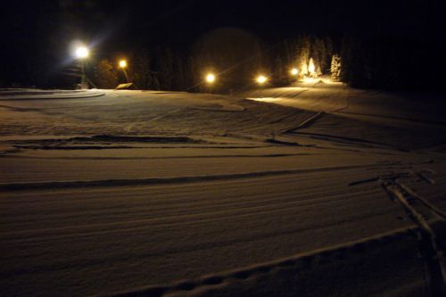 Linden, 9. Februar 2009
