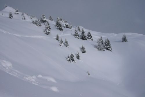Sarn, 14. Februar 2009
