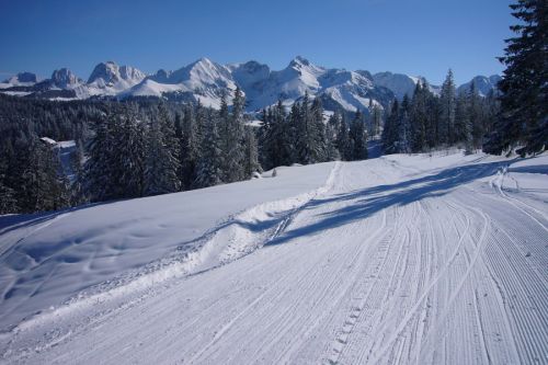 Selital (Gantrisch), Selital (Gantrisch), 19. Februar 2009
