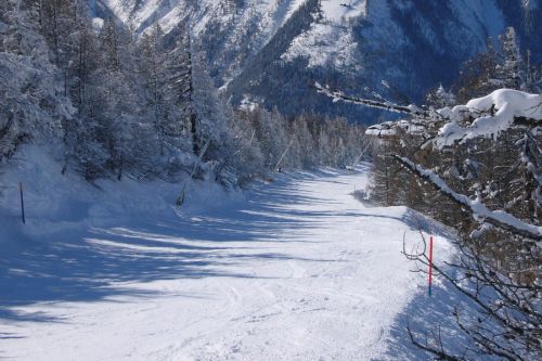 Rosswald, 20. Februar 2009

