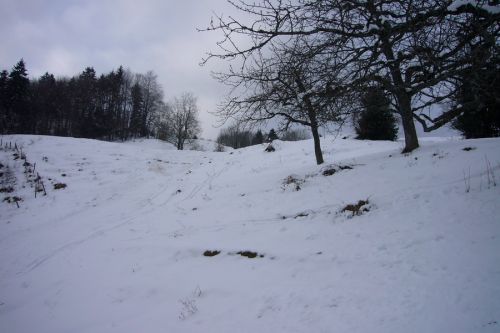 Hohe Winde, 21. Februar 2009
