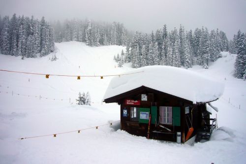 7. März 2009

