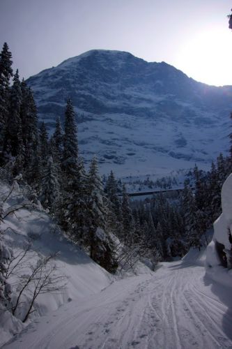 7. März 2009

