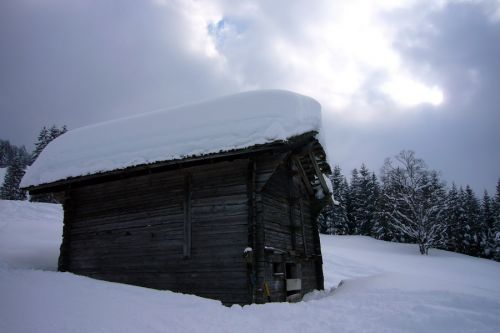 7. März 2009
