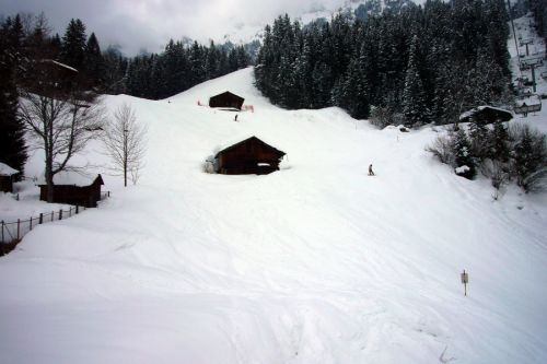 7. März 2009
