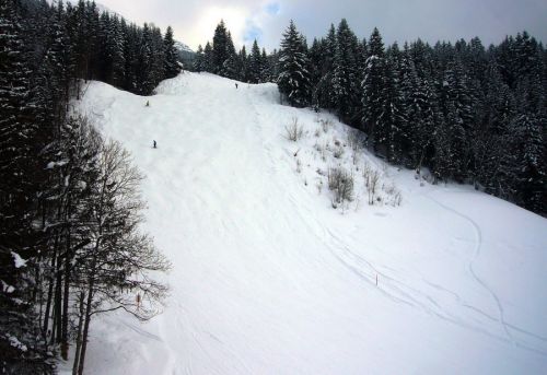 7. März 2009
