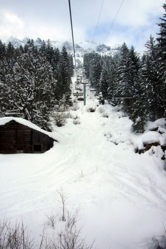 7. März 2009
