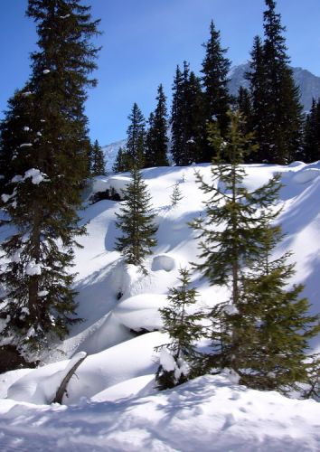 13. März 2009
