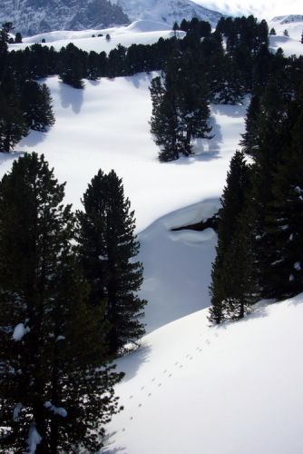 13. März 2009
