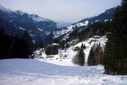 13. März 2009
