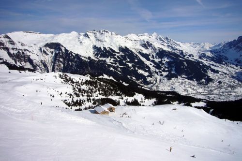 14. März 2009
