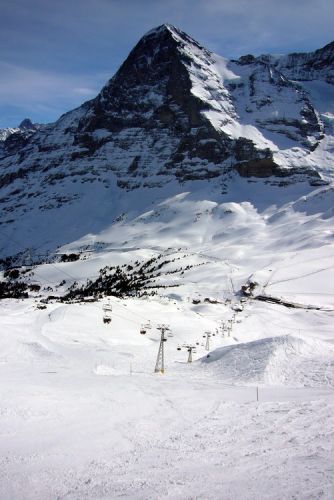 14. März 2009
