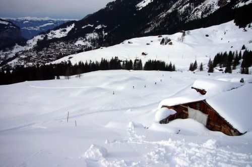 14. März 2009
