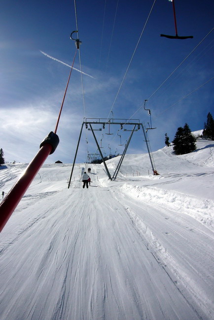 17. März 2009
