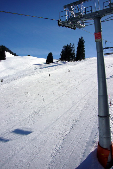 17. März 2009
