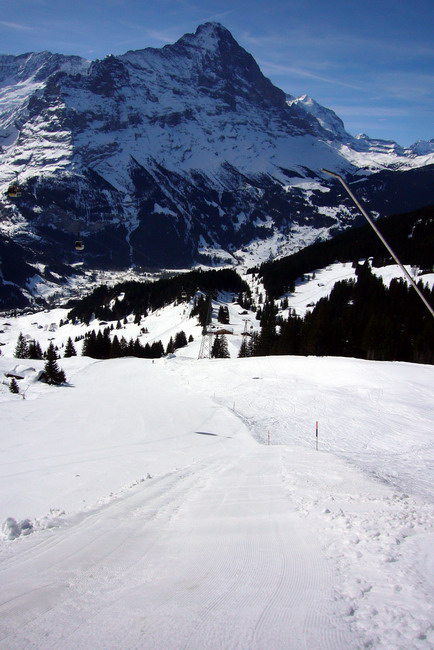 18. März 2009
