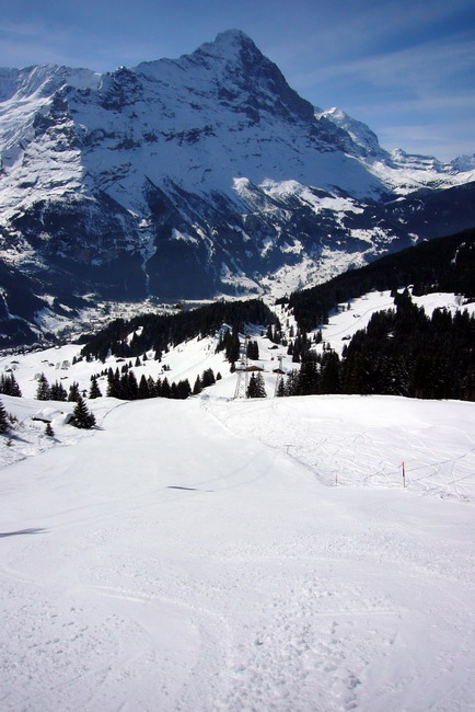 31. März 2009
