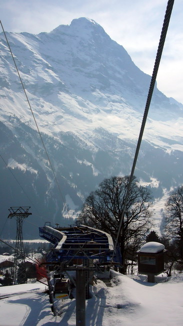 31. März 2009
